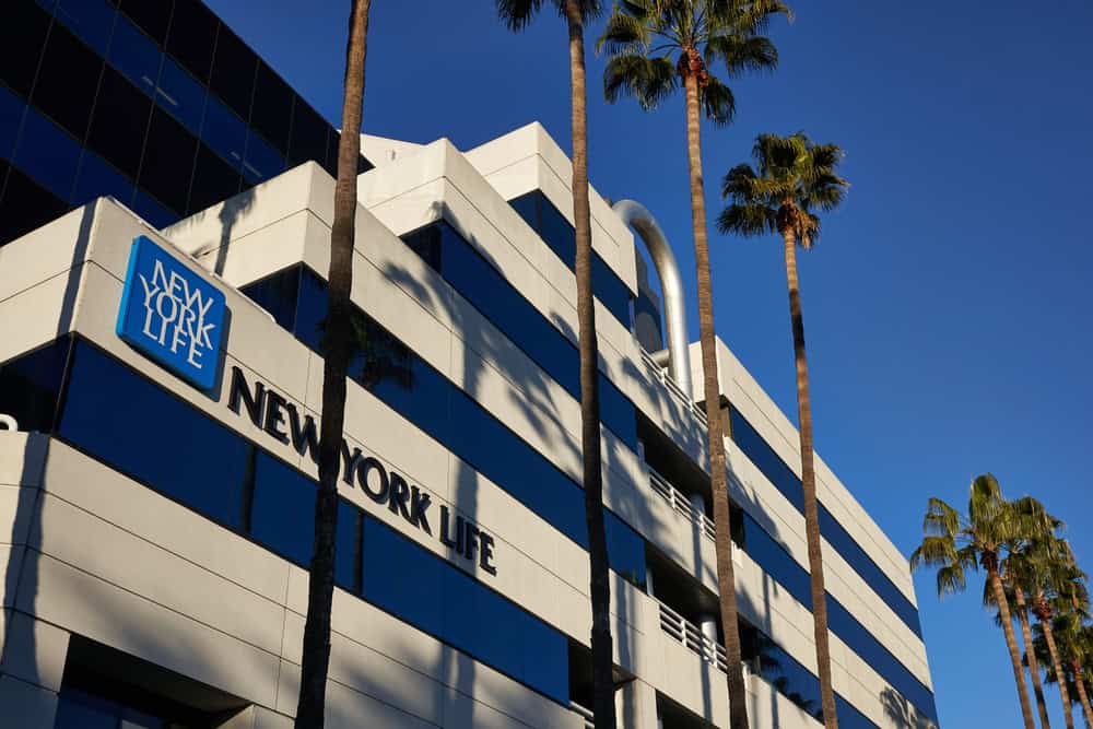 A large, modern building with mirrored glass windows and a white facade bears the "New York Life" logo and signage, expertly crafted by a top Sign Company in Orange County. Tall palm trees line the front, and the clear blue sky suggests a sunny day.